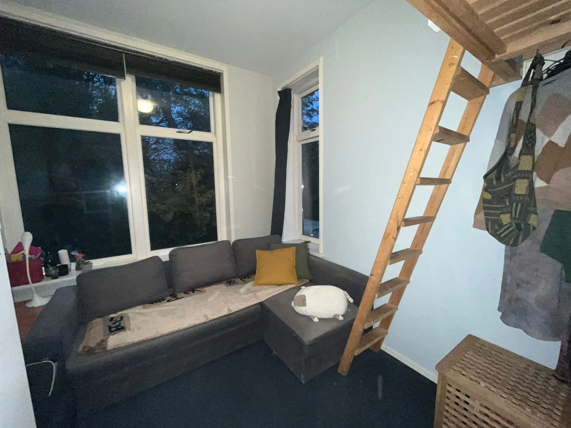 Foto van de Kamer gelegen aan de Koningsplein in Delft