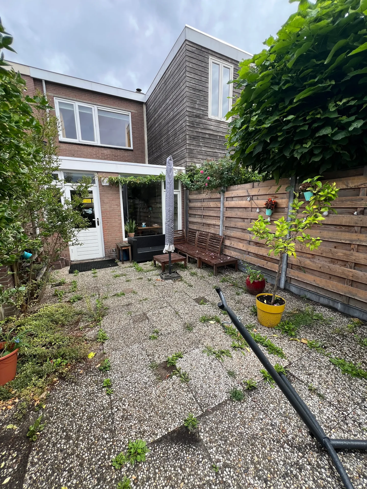 geblurde versie van de foto als achtergrond