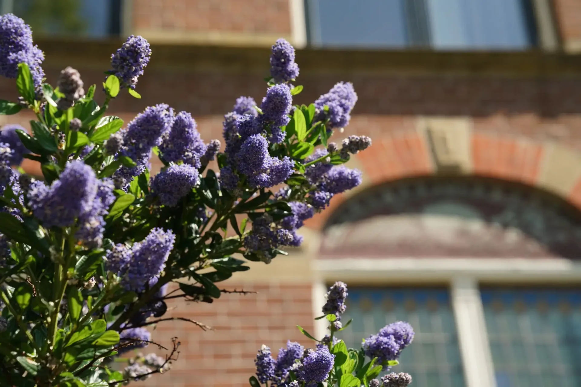 Foto van de Appartement gelegen aan de Nieuwe Plantage in Delft