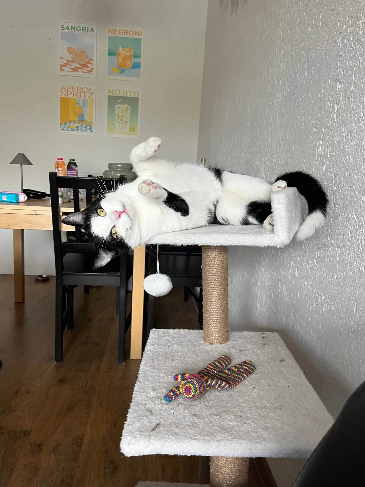 Foto van de Kamer gelegen aan de Bremstraat in Groningen