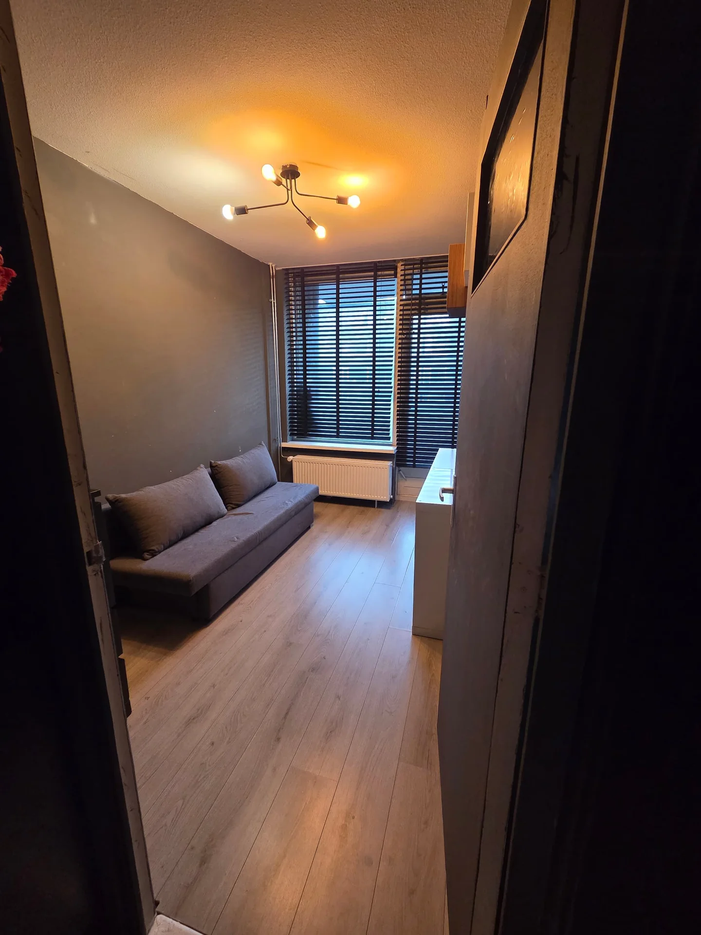 Foto van de Kamer gelegen aan de Elisabeth Boddaertstraat in Amsterdam