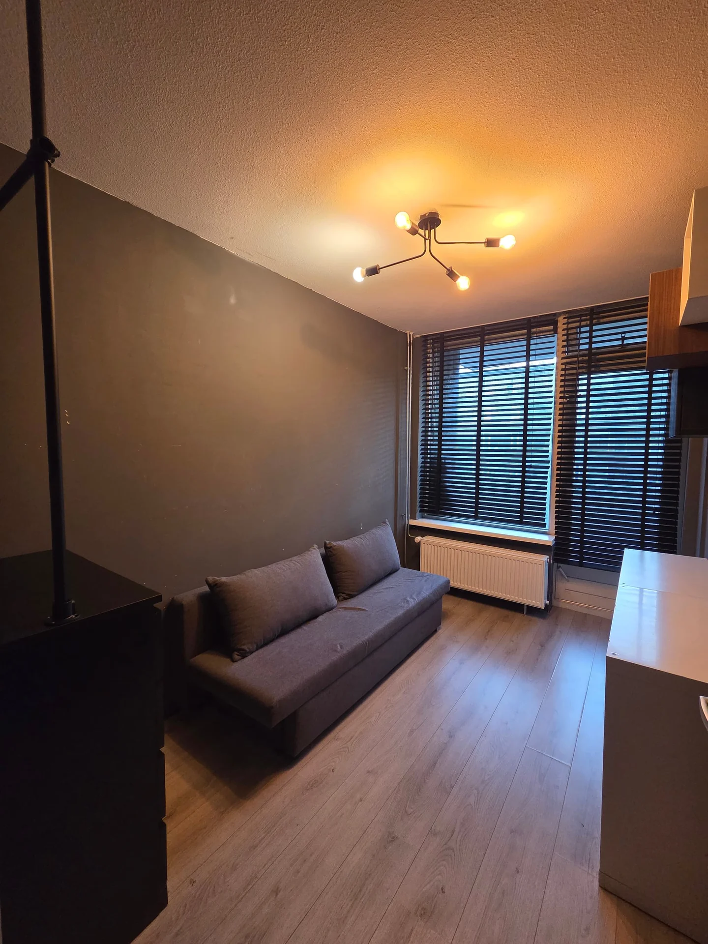 Foto van de Kamer gelegen aan de Elisabeth Boddaertstraat in Amsterdam