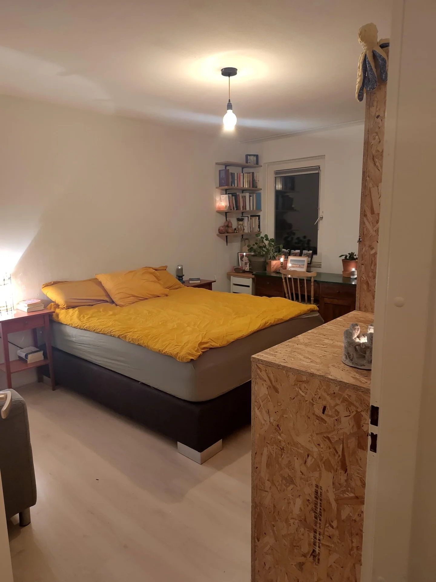 Foto van de Kamer gelegen aan de Kruisstraat in Eindhoven