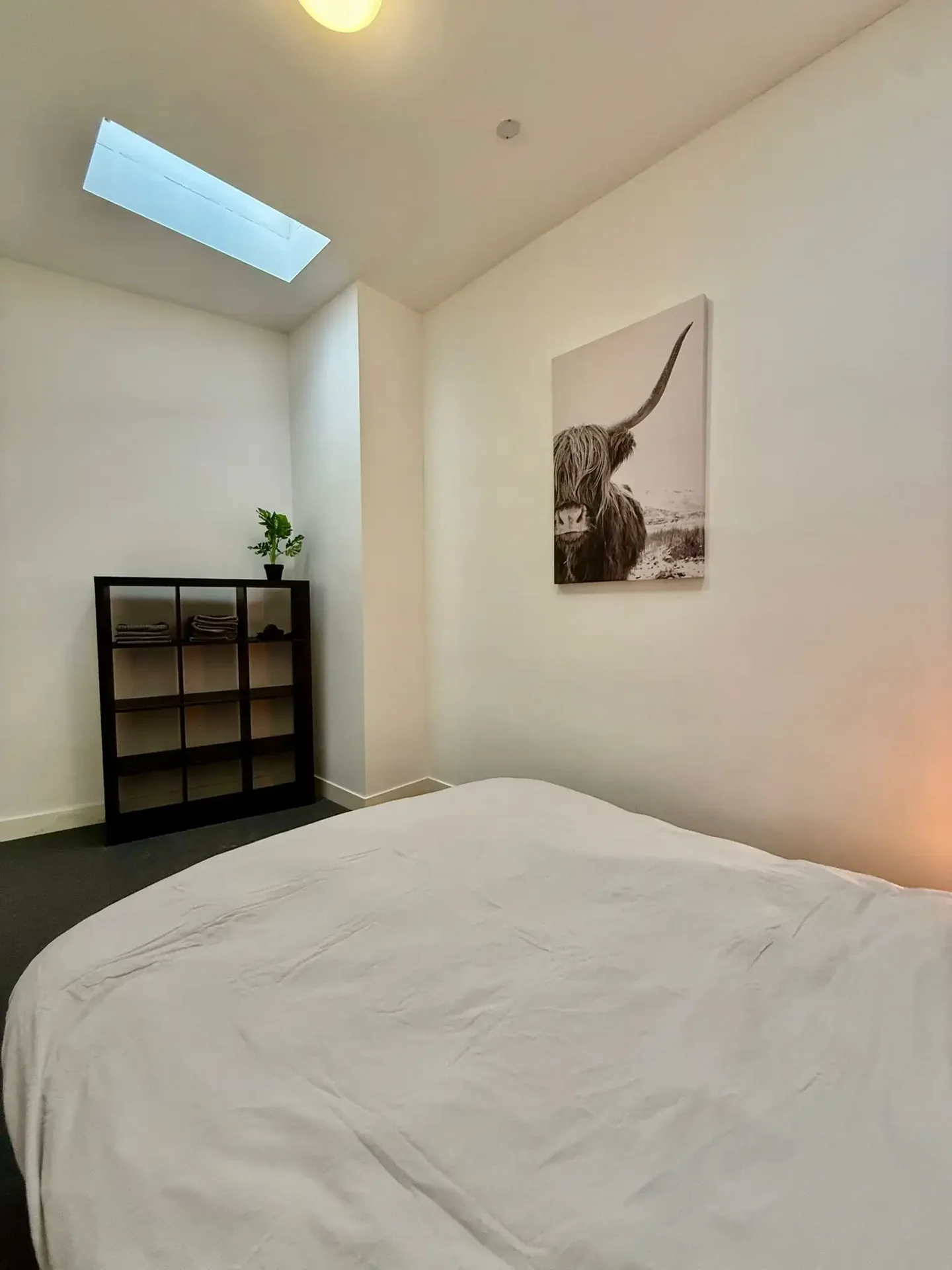 Foto van de Appartement gelegen aan de van der Palmstraat in Rotterdam