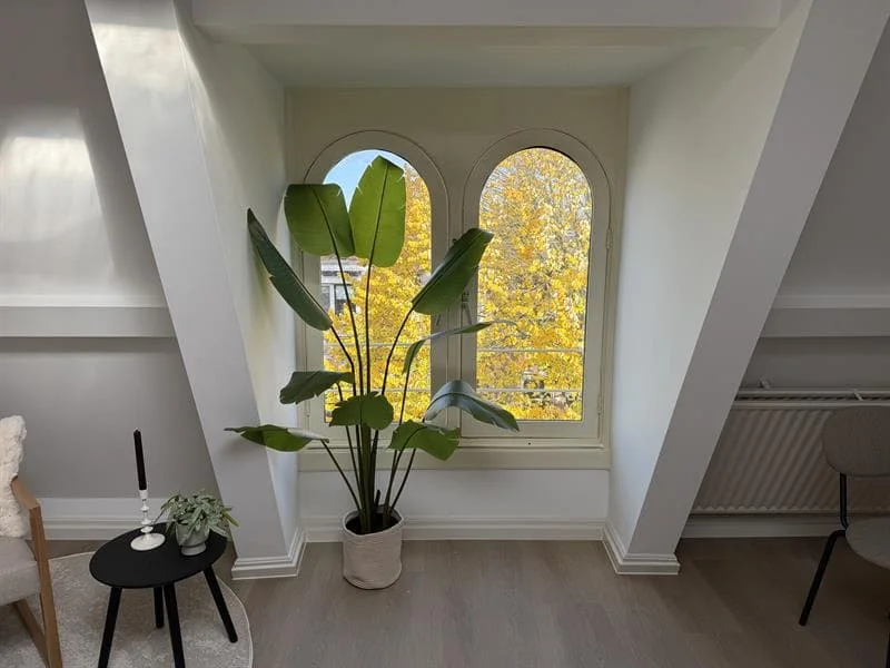 Foto van de Studio gelegen aan de Burgemeester Reigerstraat in Utrecht