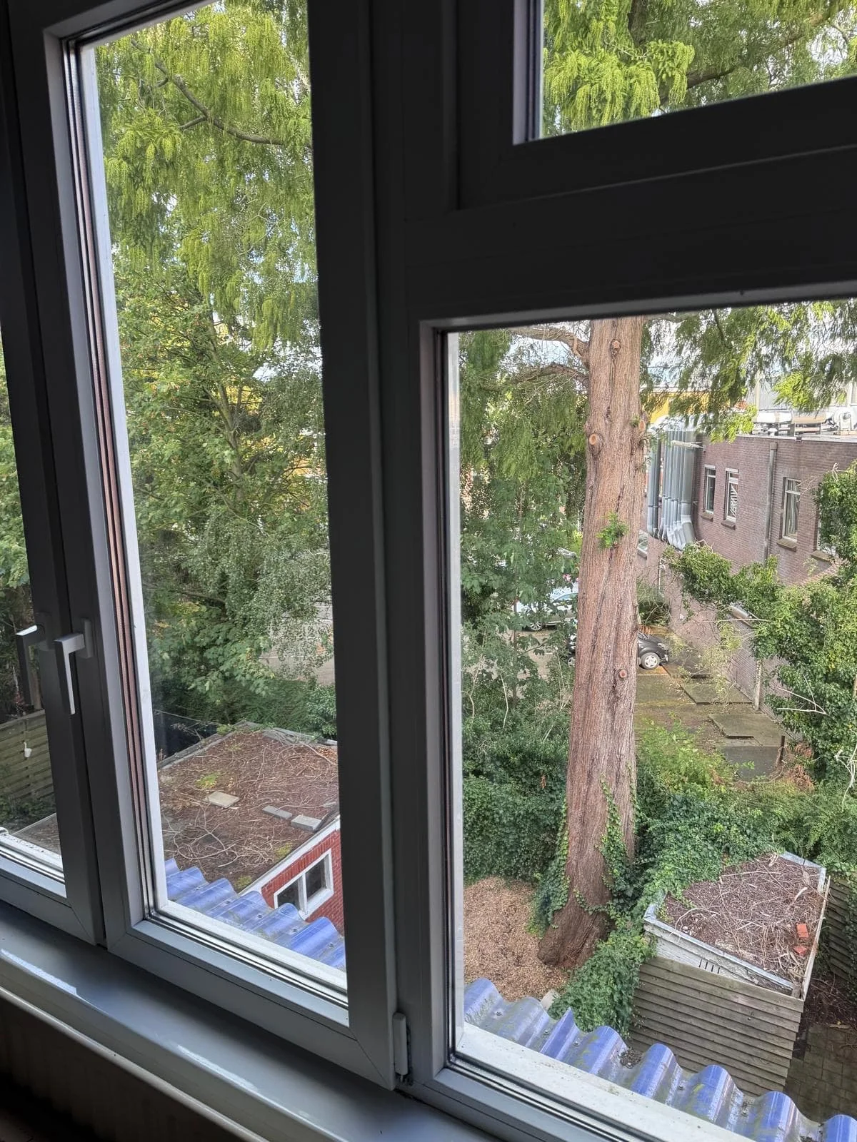 Foto van de Kamer gelegen aan de Petrus Campersingel in Groningen