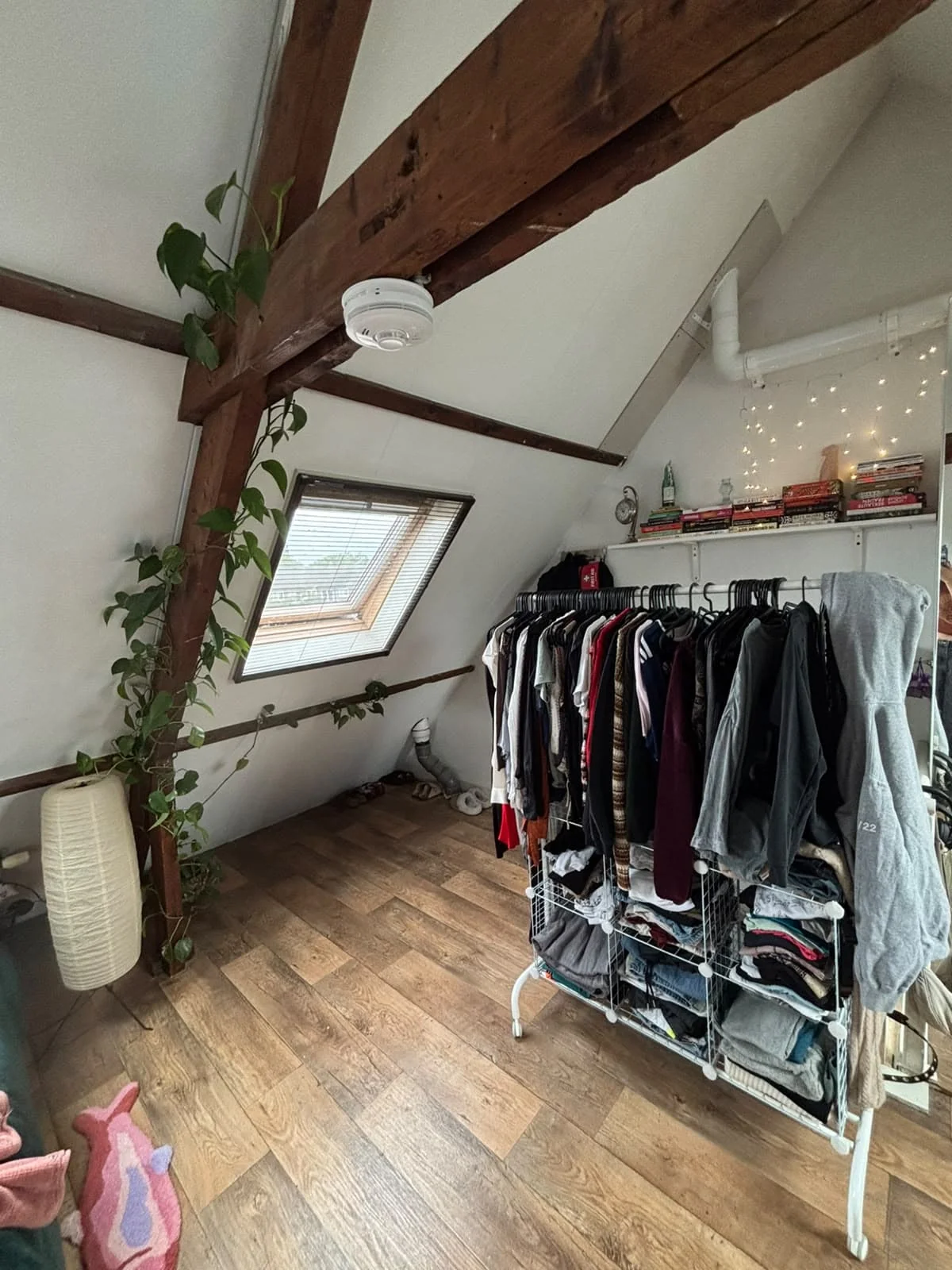 Foto van de Kamer gelegen aan de Vleutenseweg in Utrecht