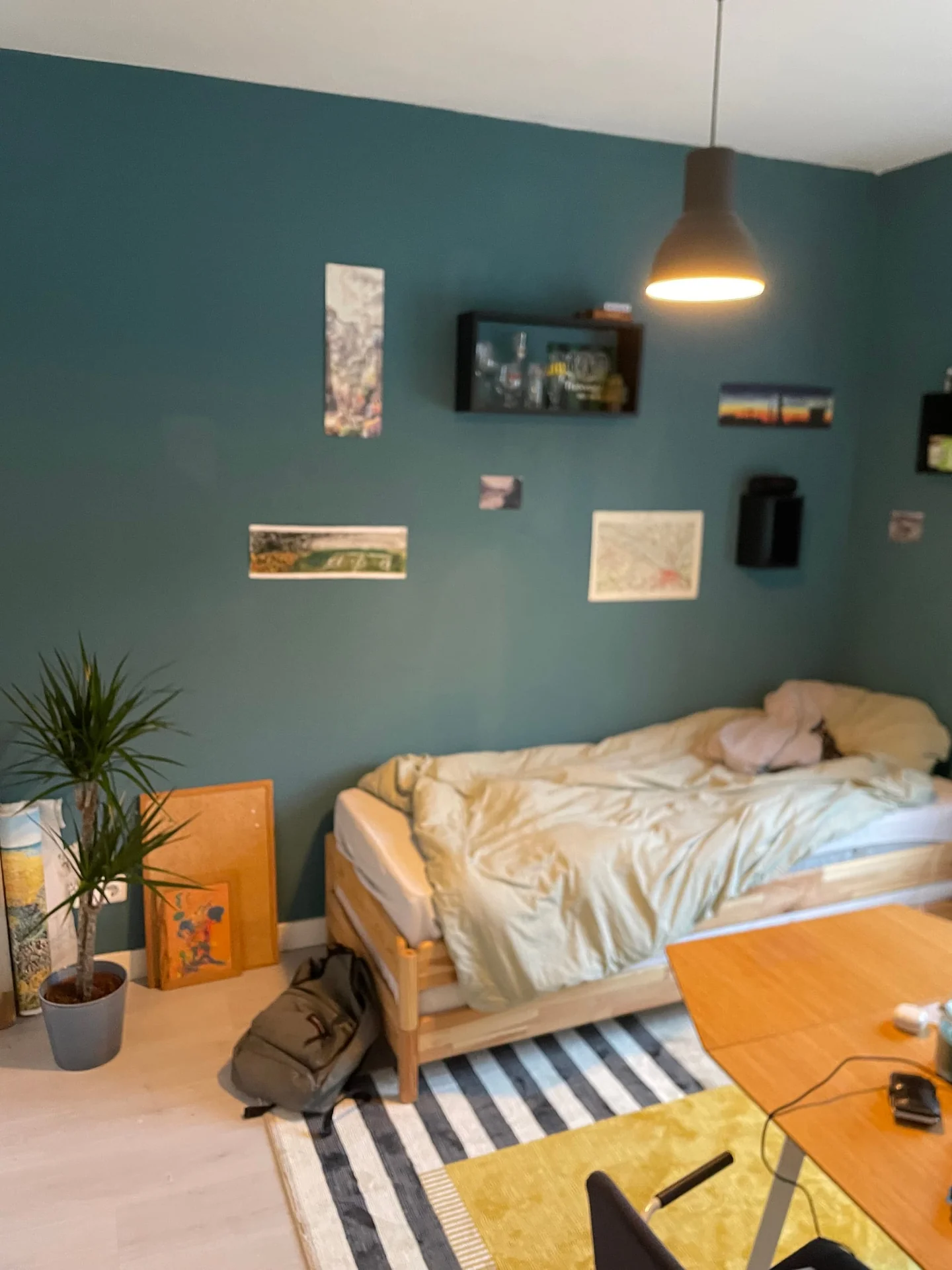 Foto van de Kamer gelegen aan de Daalseweg in Nijmegen
