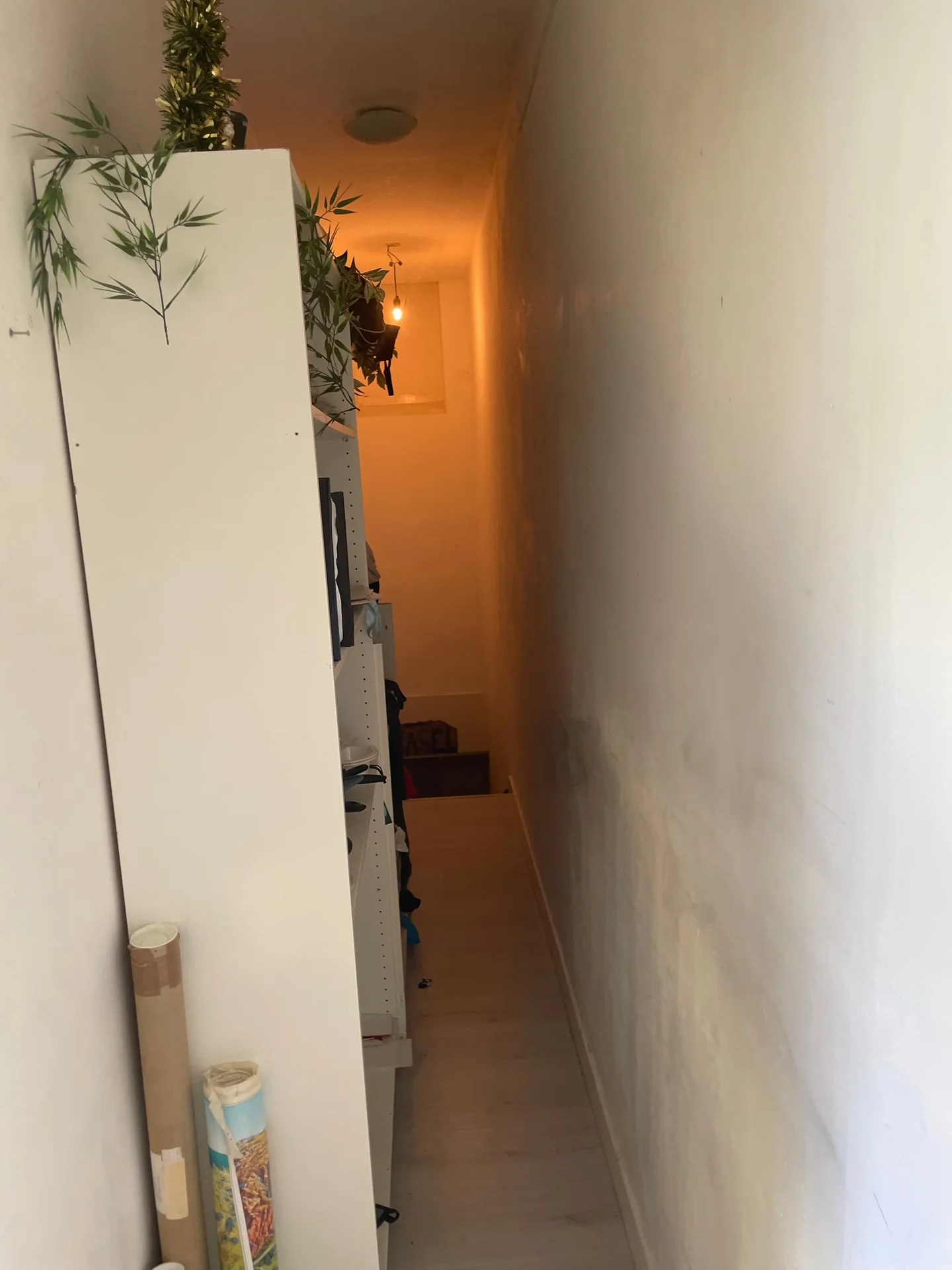 Foto van de Kamer gelegen aan de Daalseweg in Nijmegen