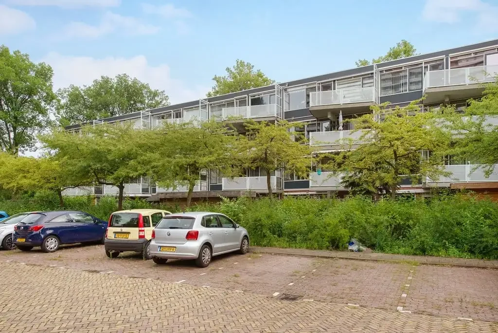 geblurde versie van de foto als achtergrond