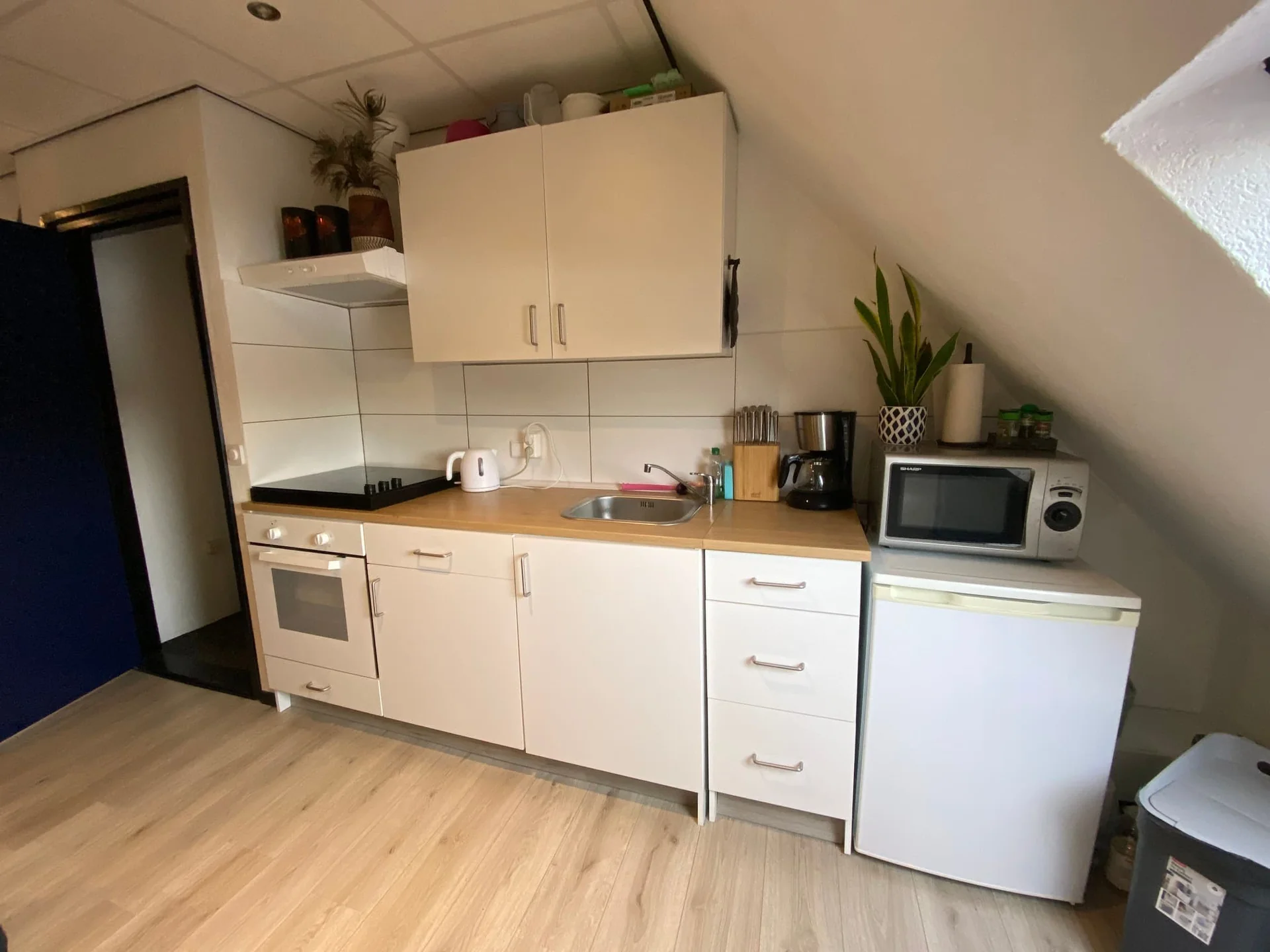 Foto van de Appartement gelegen aan de Gijzenrooi in Geldrop