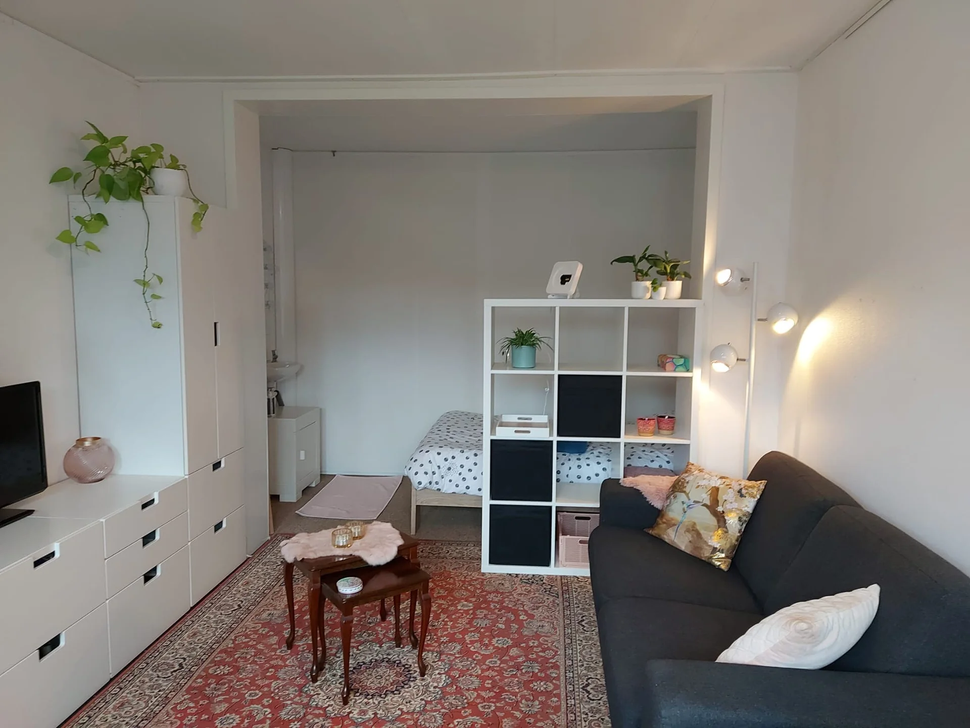 geblurde versie van de foto als achtergrond