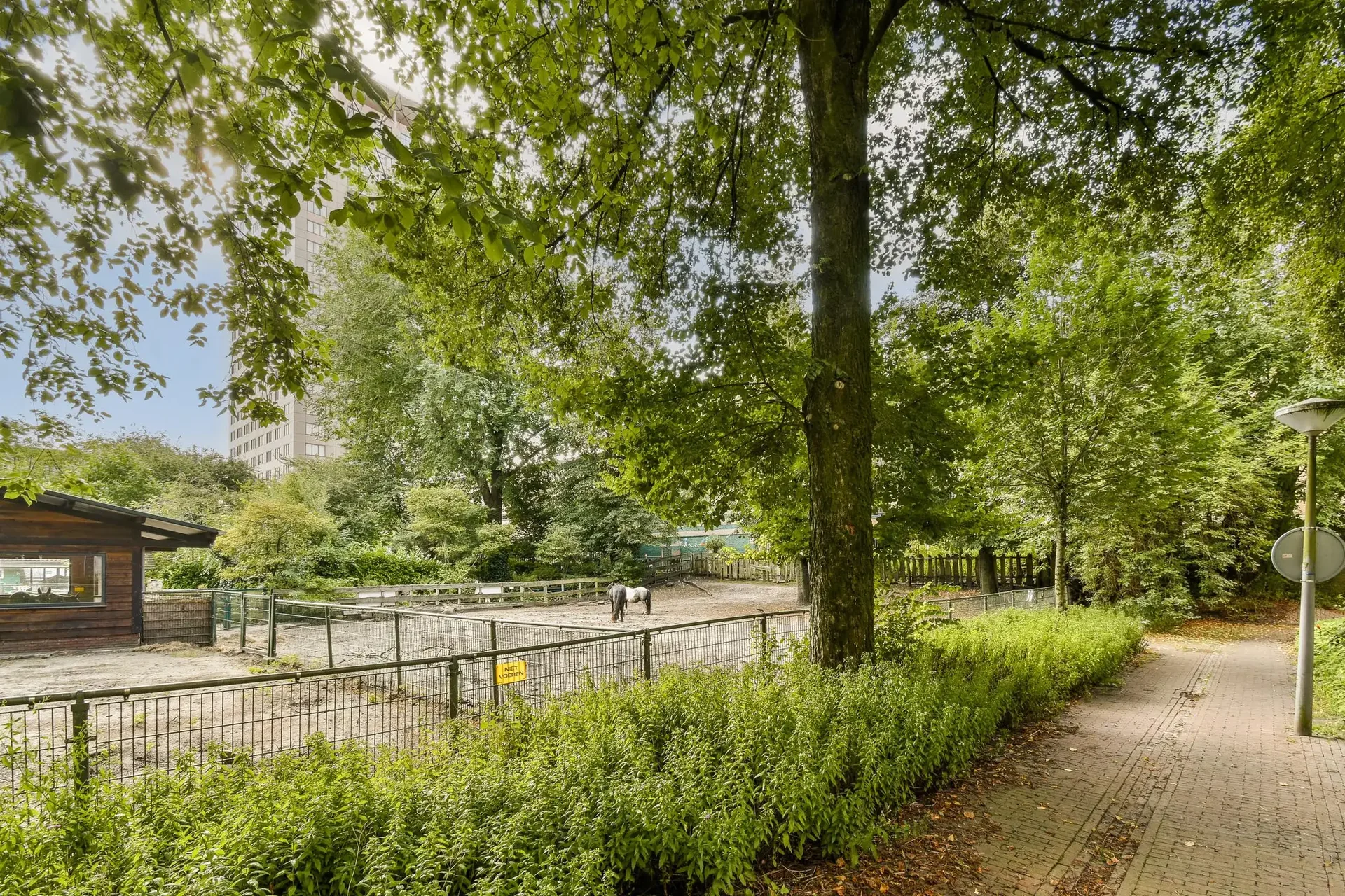 Foto van de Appartement gelegen aan de Lizzy Ansinghstraat in Amsterdam