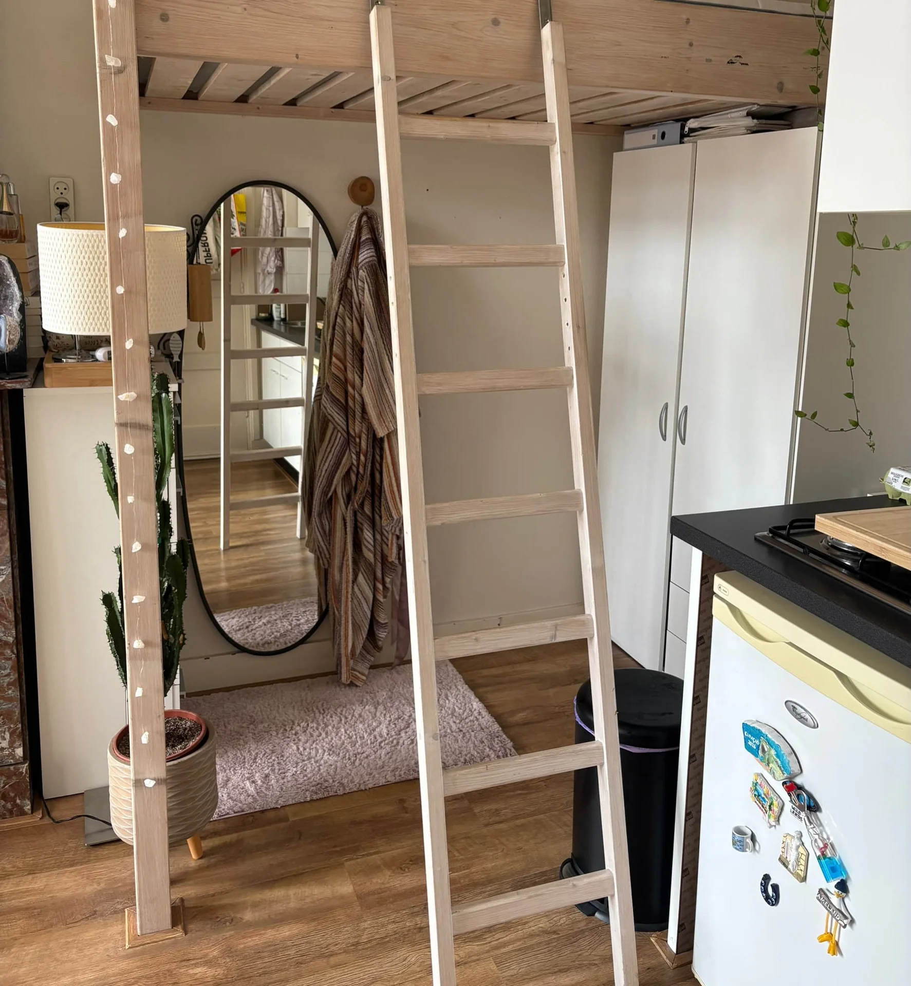Foto van de Kamer gelegen aan de Van Hamelstraat in Groningen