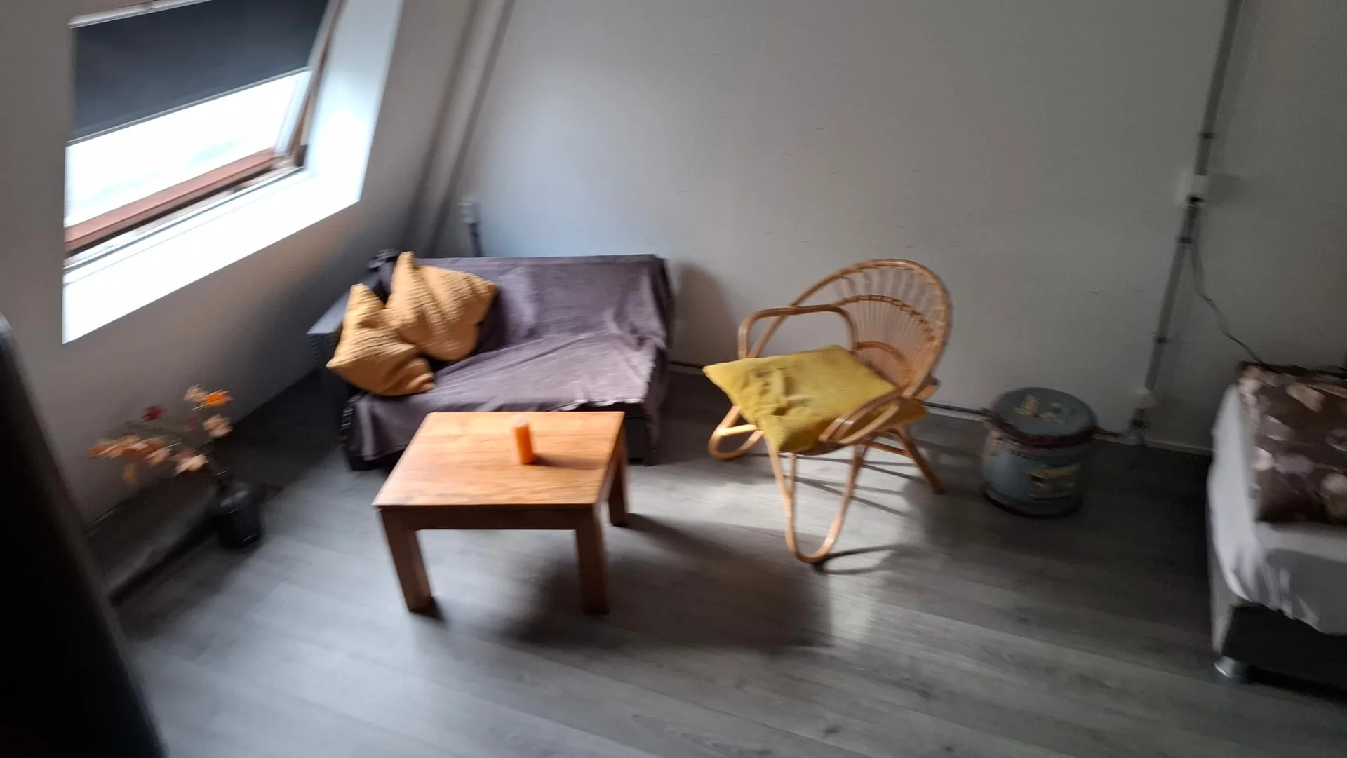 Foto van de Kamer gelegen aan de Roosterbos in Hoofddorp
