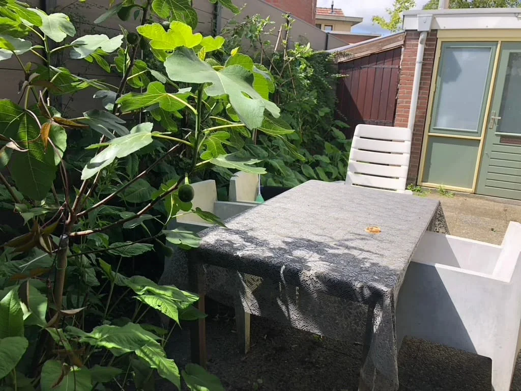 Foto van de Kamer gelegen aan de Nieuwstraat in Tilburg
