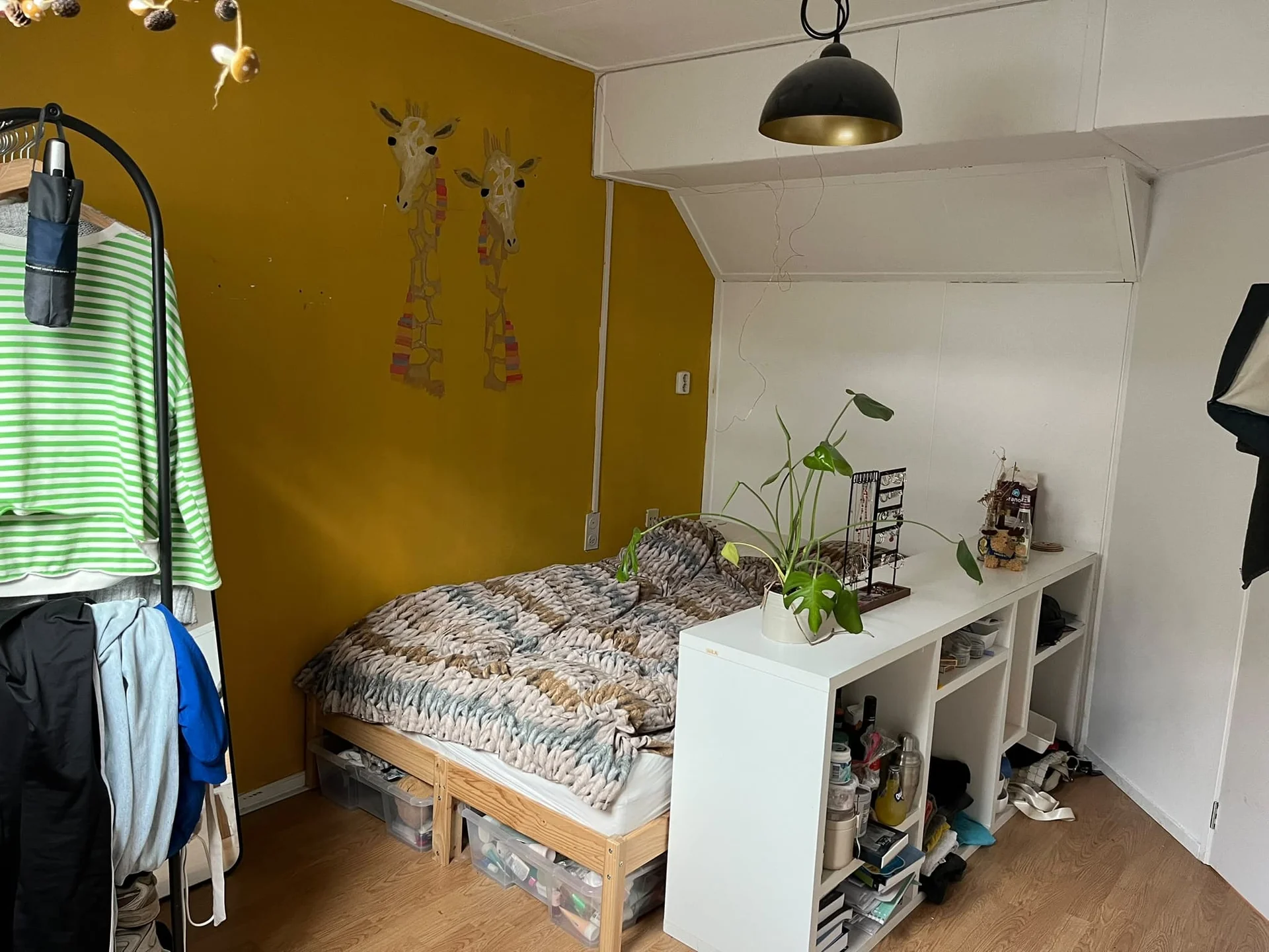 Foto van de Kamer gelegen aan de Kreekrugpad in Delft