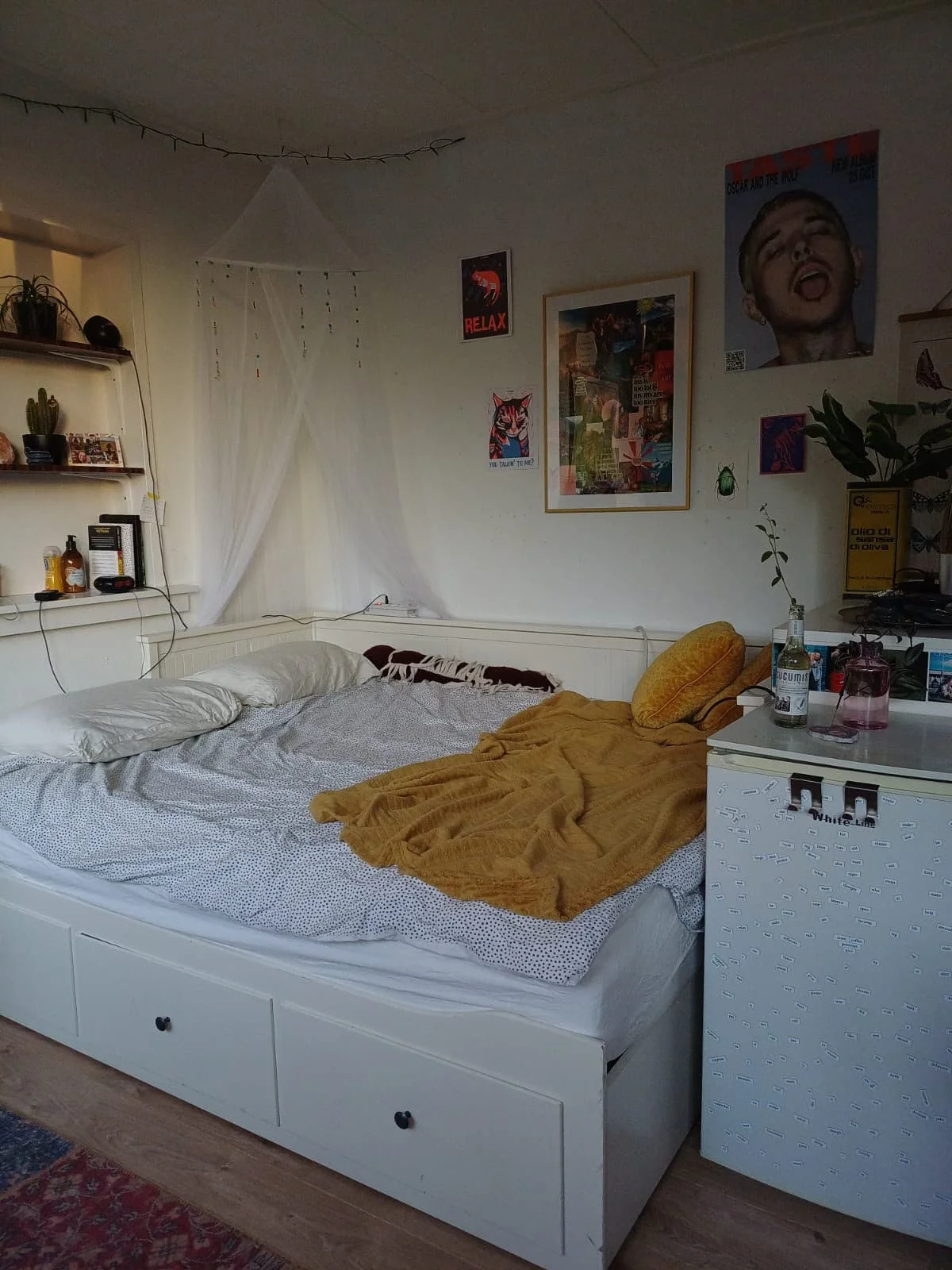 geblurde versie van de foto als achtergrond