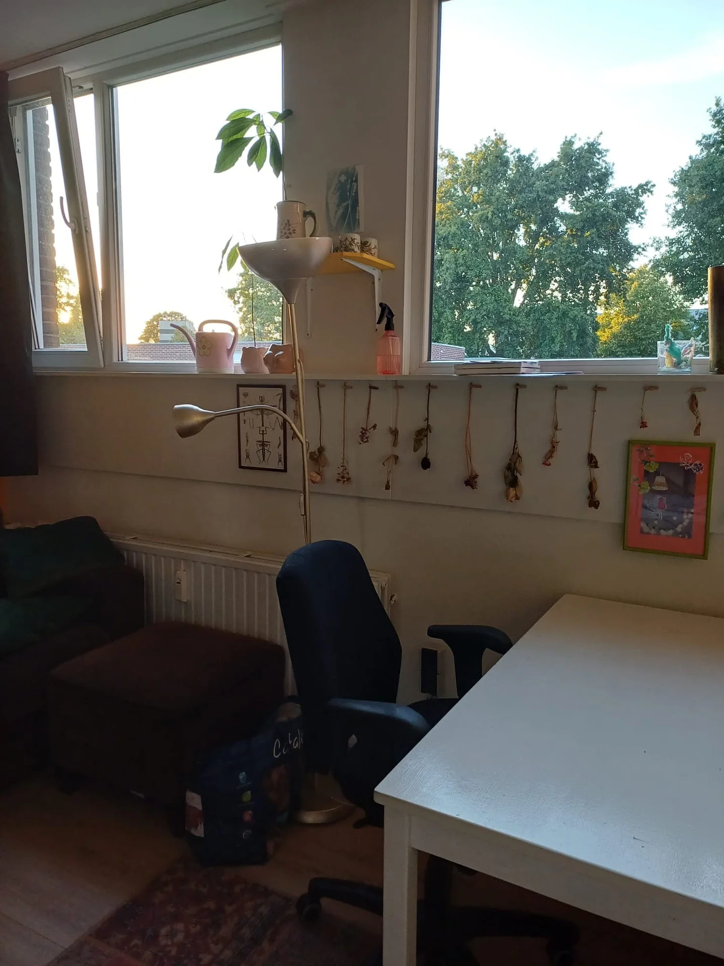 geblurde versie van de foto als achtergrond