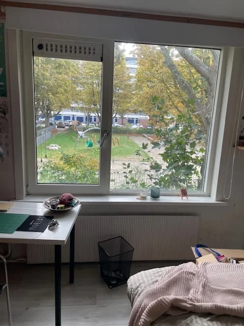 geblurde versie van de foto als achtergrond