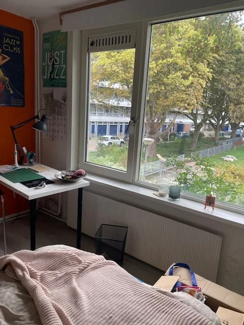 geblurde versie van de foto als achtergrond