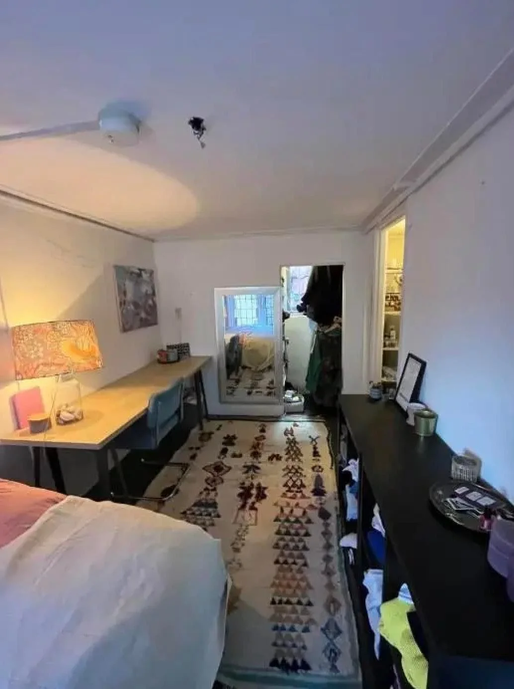 geblurde versie van de foto als achtergrond