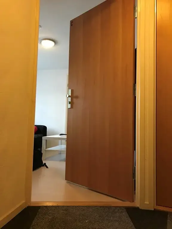 Foto van de Appartement gelegen aan de Ranonkelstraat in Eindhoven