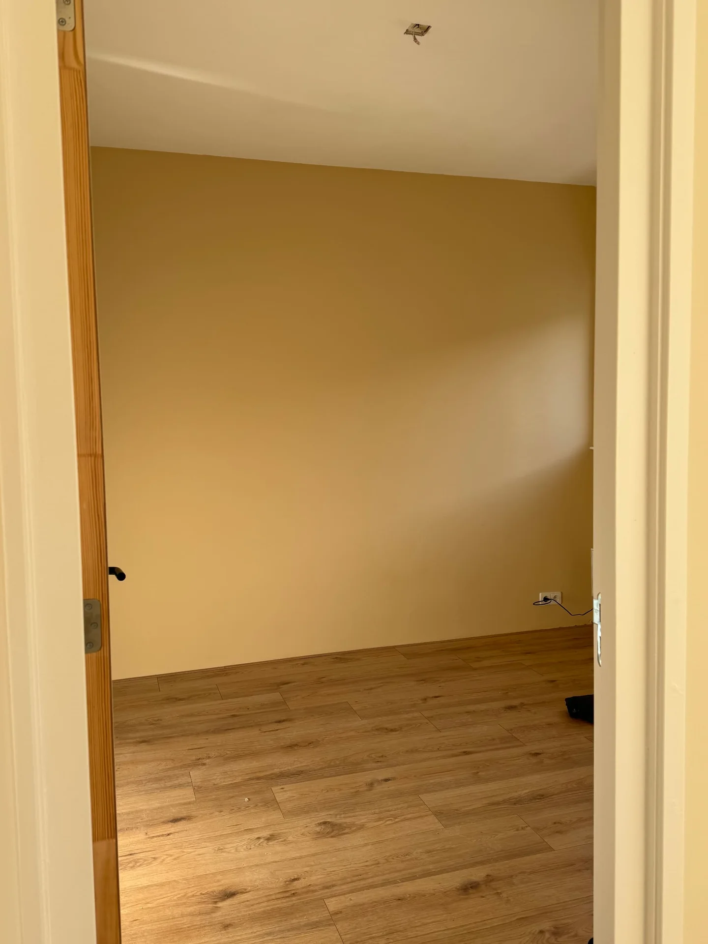 Foto van de Studio gelegen aan de Bisschop Willebrandlaan in Zwolle