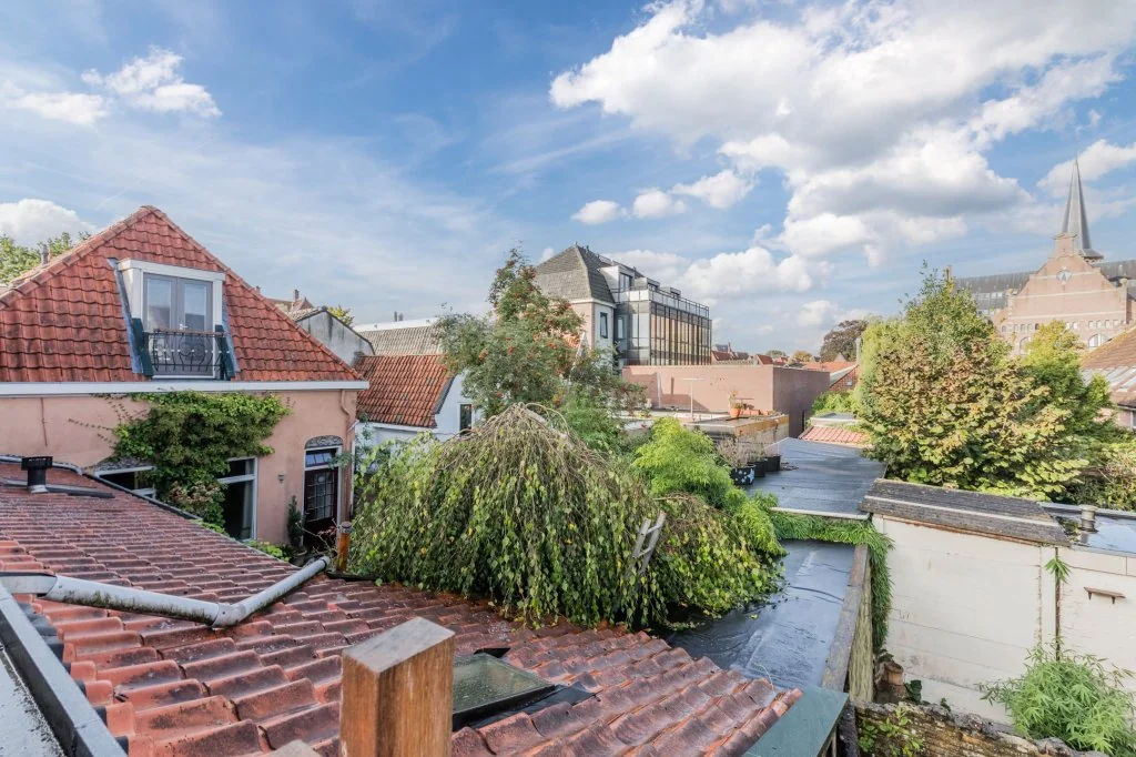 geblurde versie van de foto als achtergrond