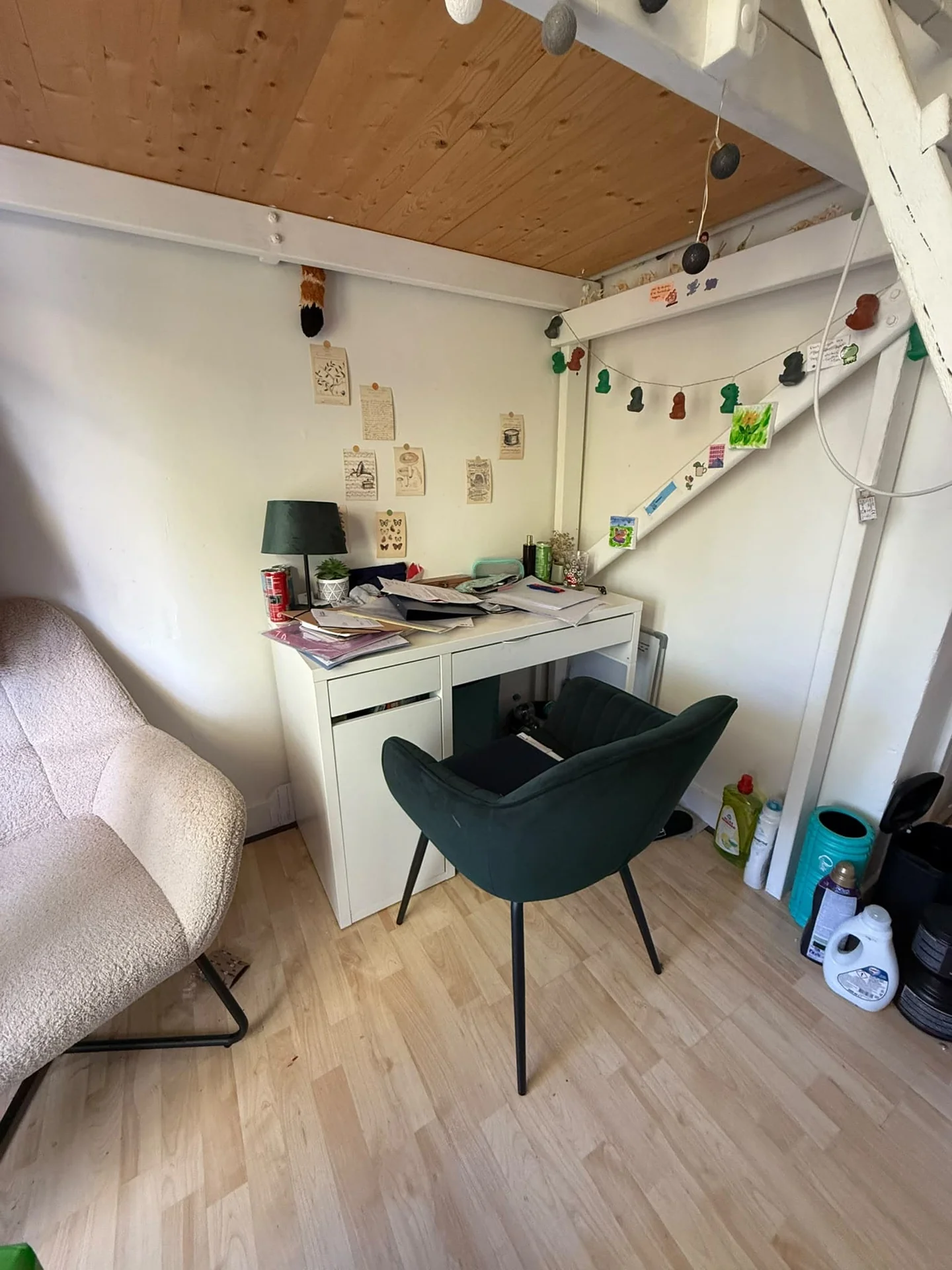 geblurde versie van de foto als achtergrond