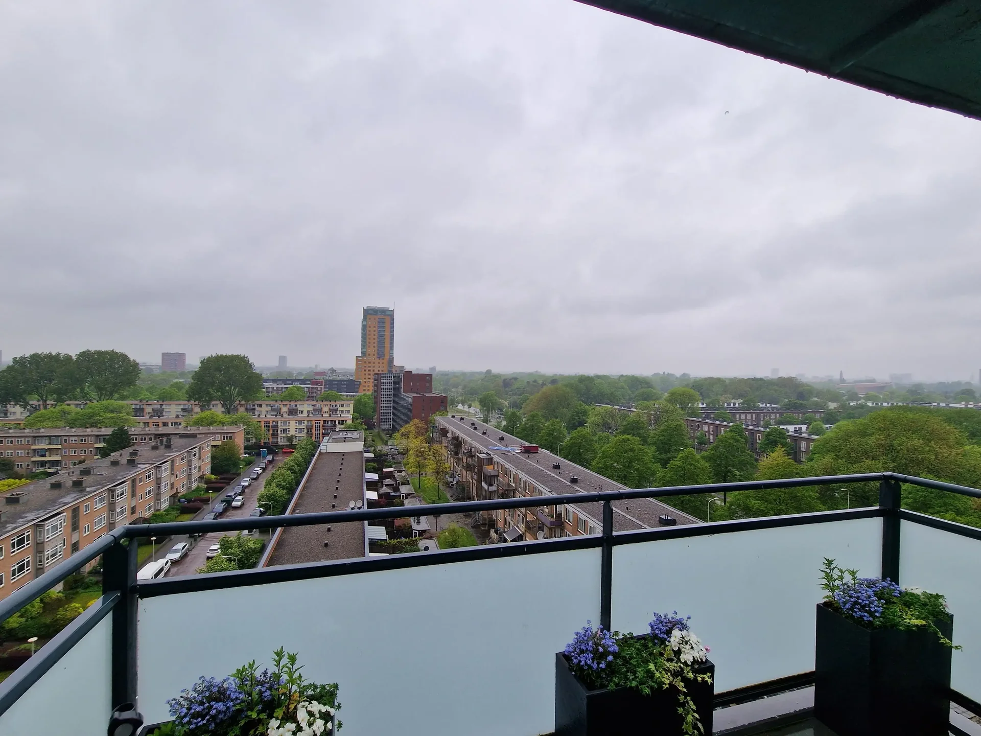 geblurde versie van de foto als achtergrond