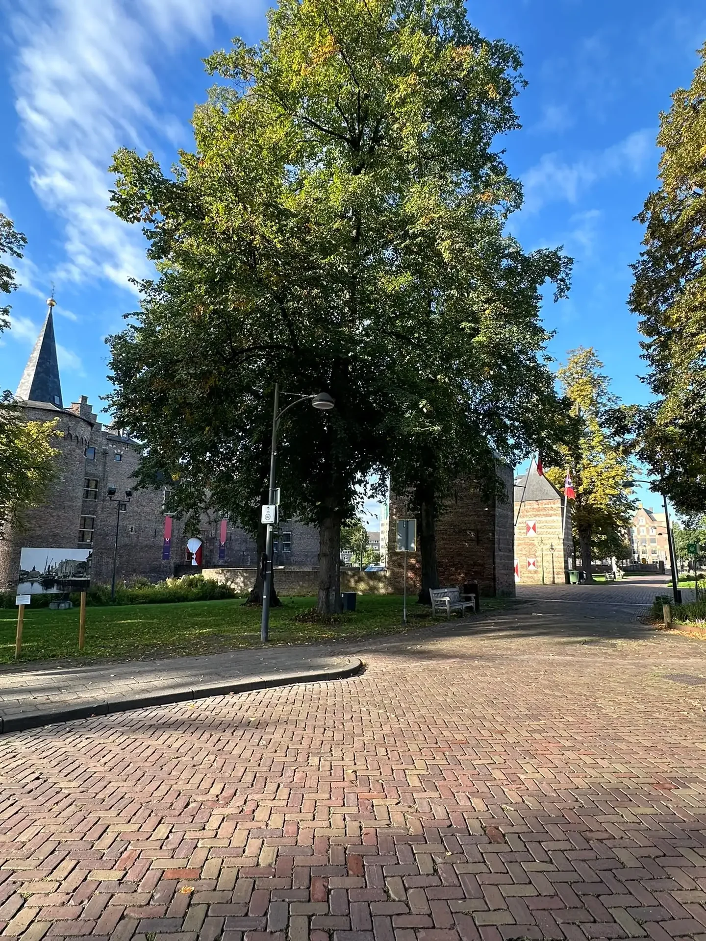 geblurde versie van de foto als achtergrond