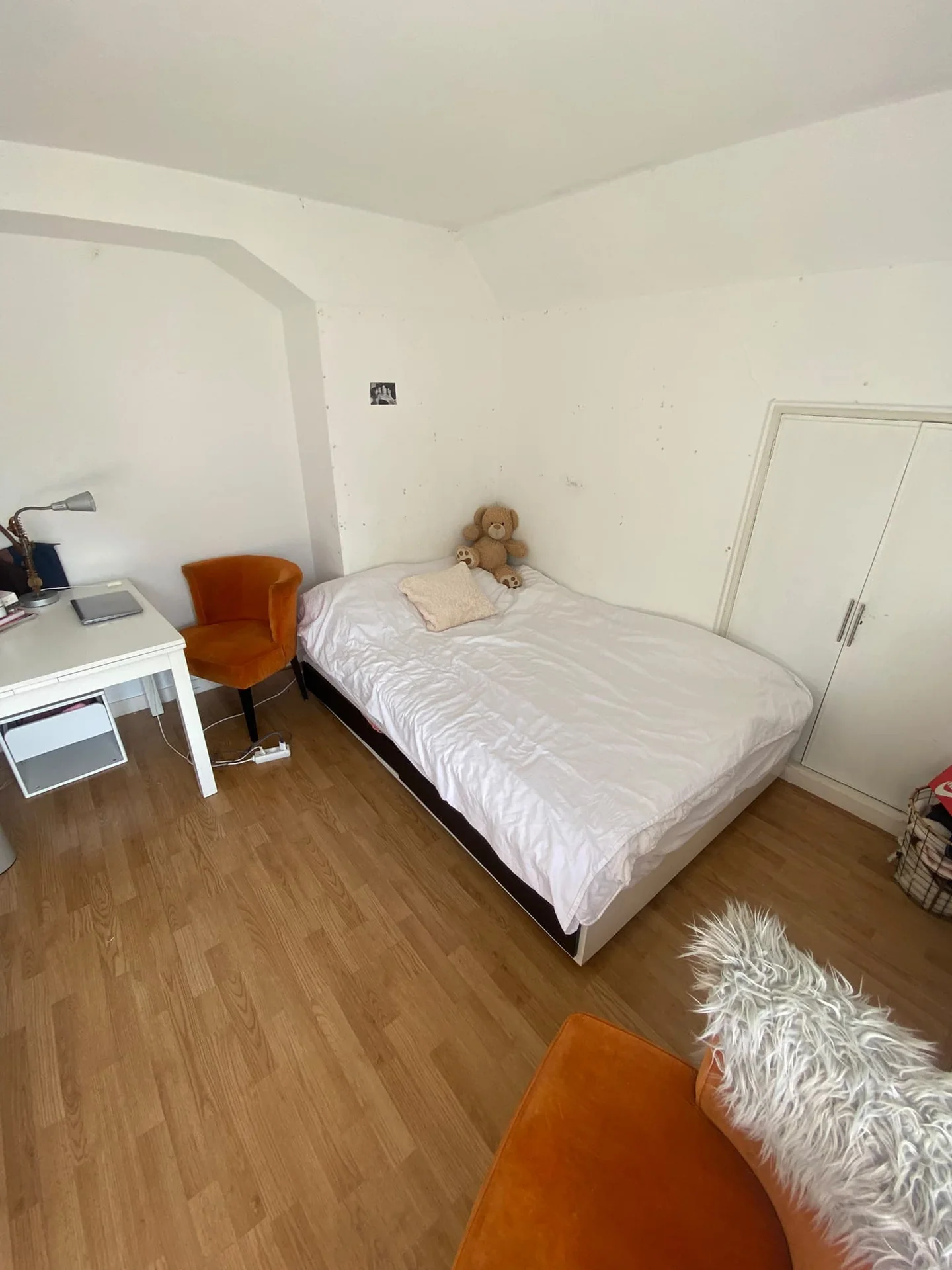 geblurde versie van de foto als achtergrond
