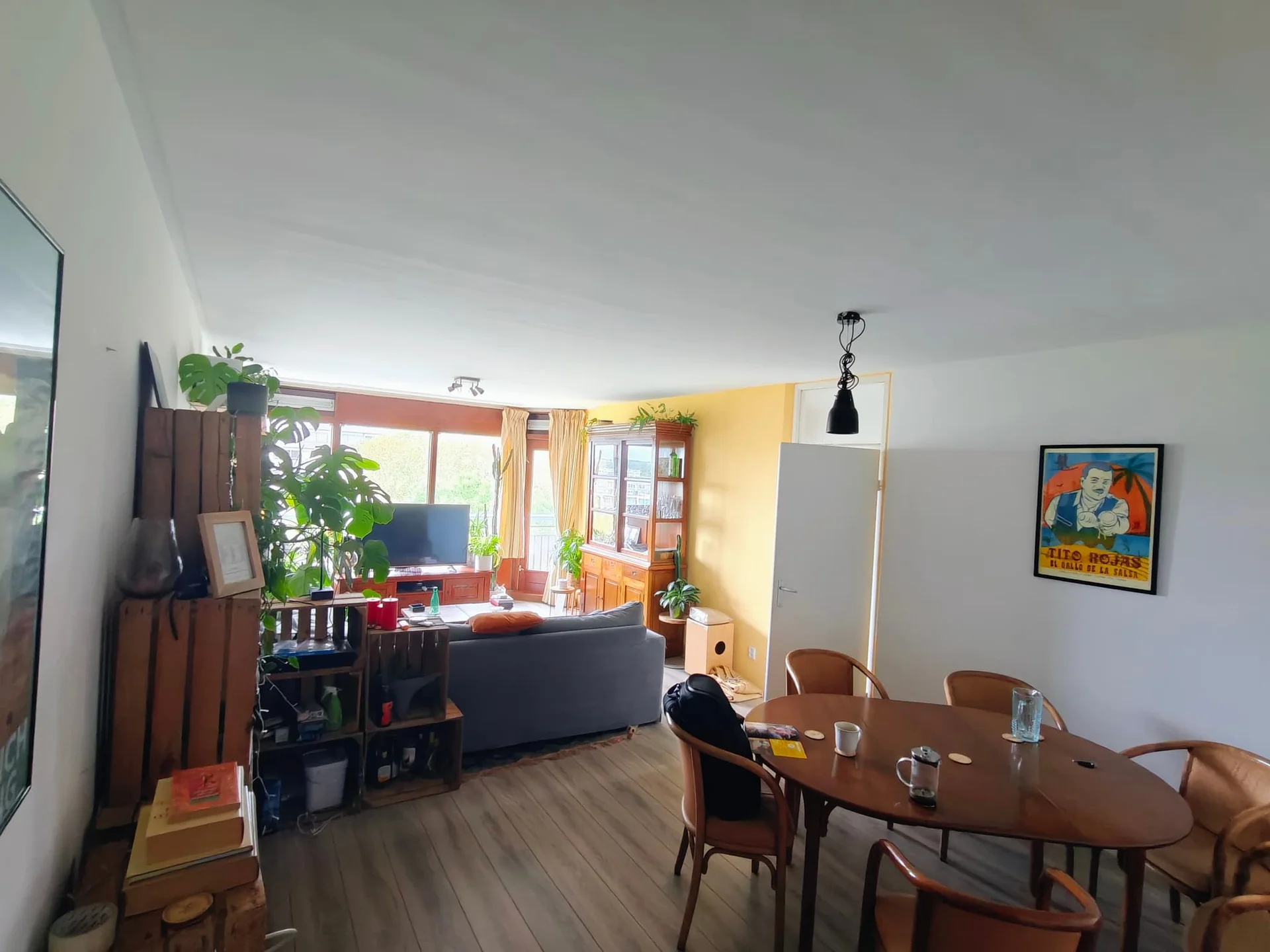 geblurde versie van de foto als achtergrond