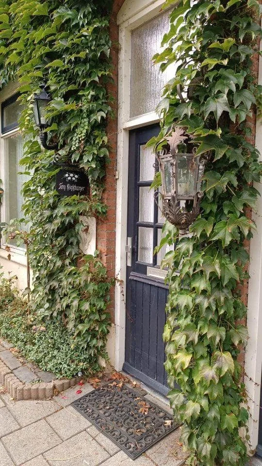 Foto van de Kamer gelegen aan de Zuiderstraat in Helmond