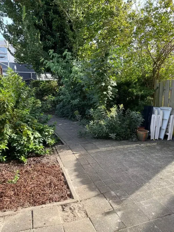 geblurde versie van de foto als achtergrond