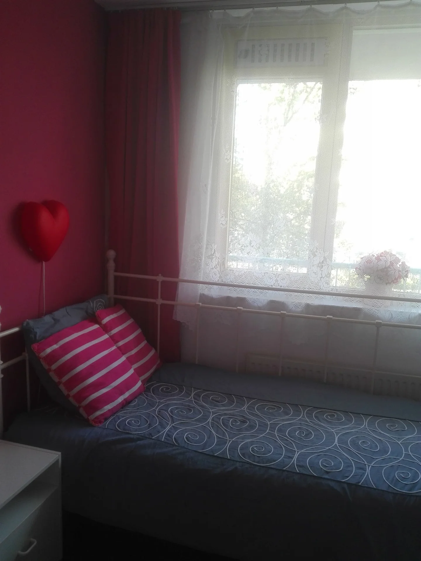 Foto van de Kamer gelegen aan de Laan van Vlaanderen in Amsterdam
