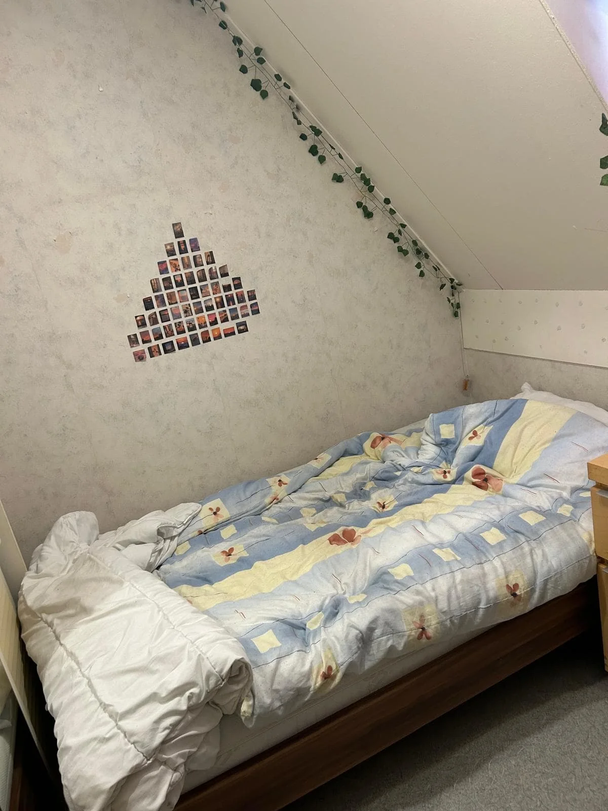 Foto van de Kamer gelegen aan de Burgemeester Fabiuspark in Bilthoven