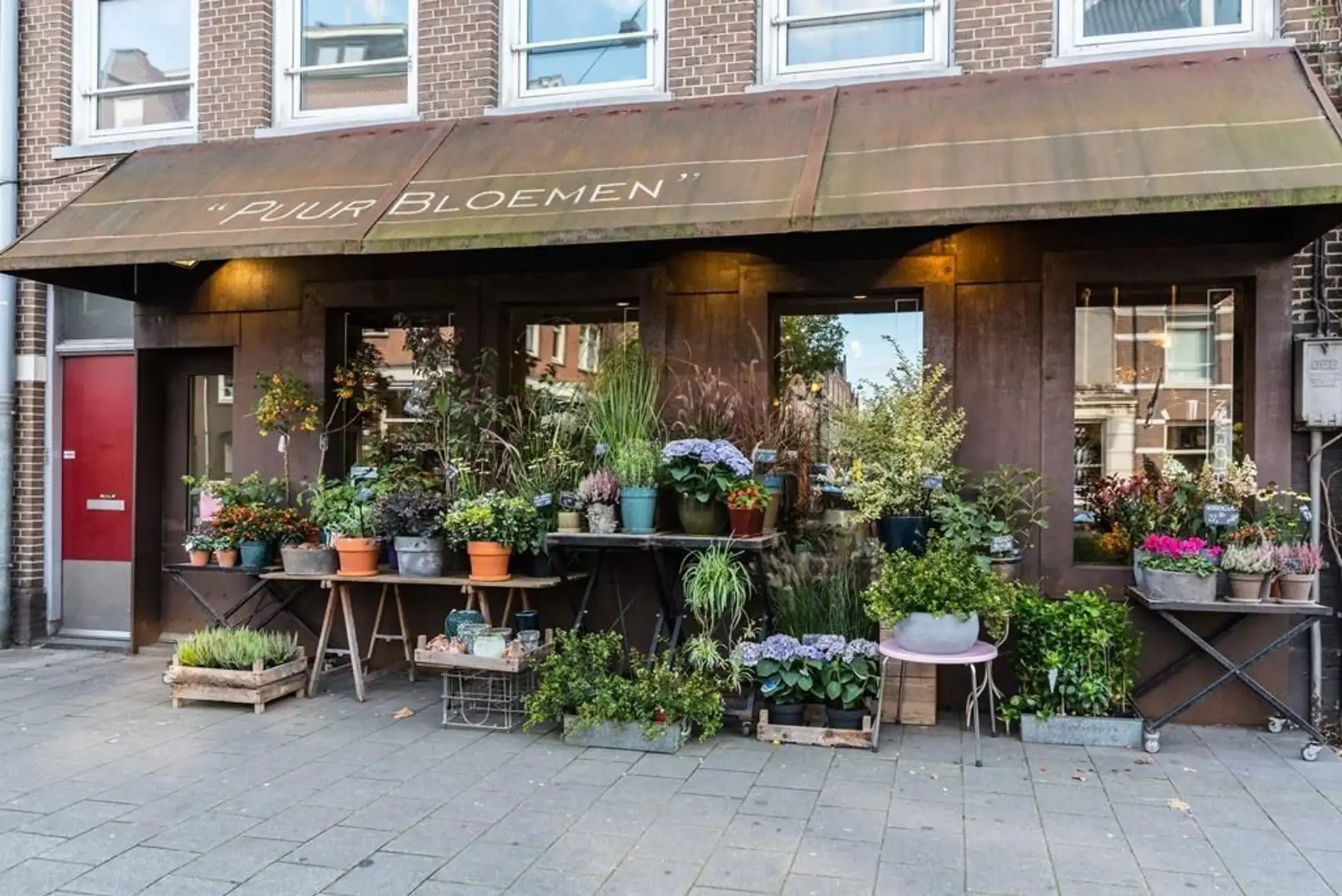 geblurde versie van de foto als achtergrond
