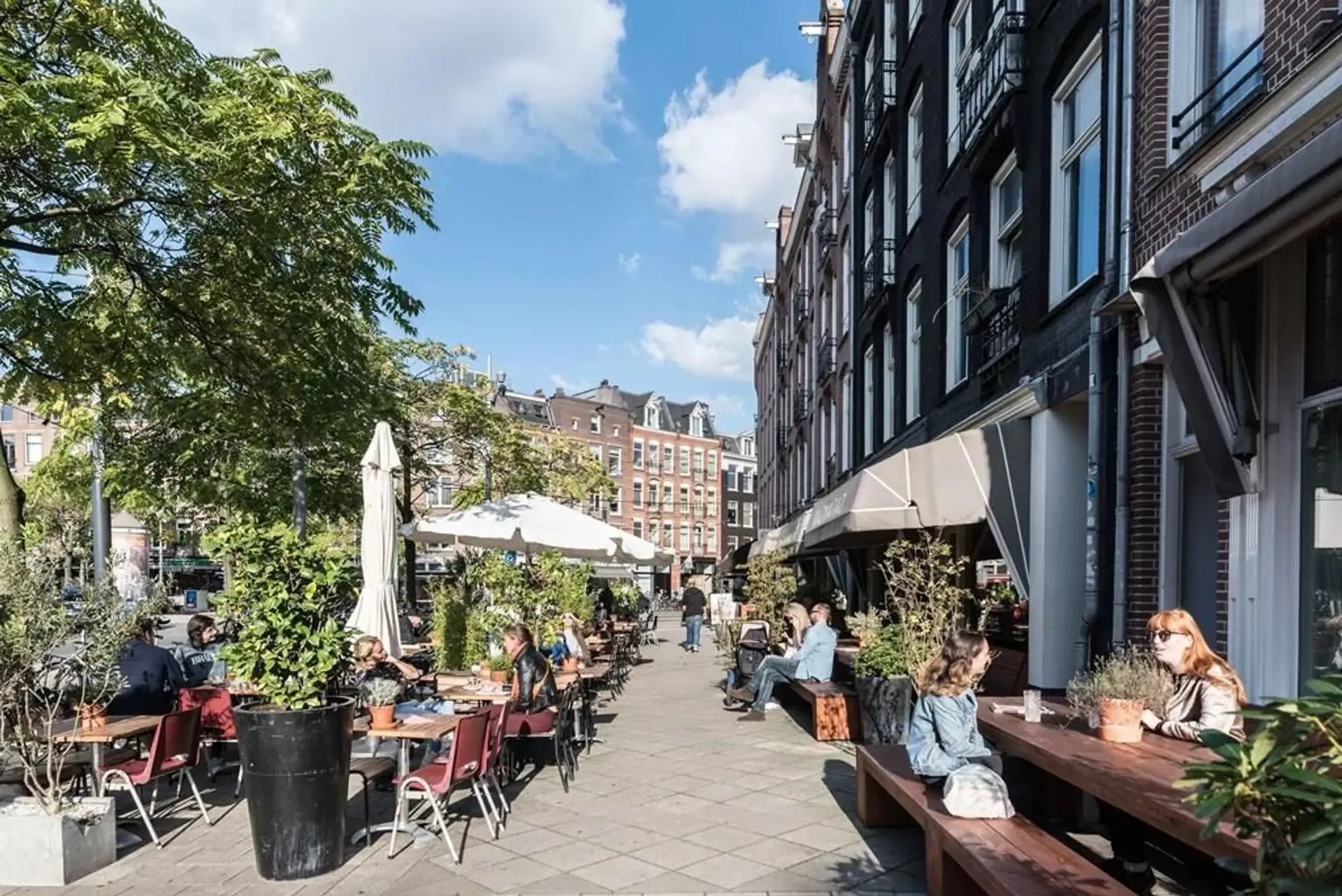 geblurde versie van de foto als achtergrond