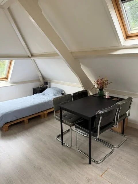 geblurde versie van de foto als achtergrond