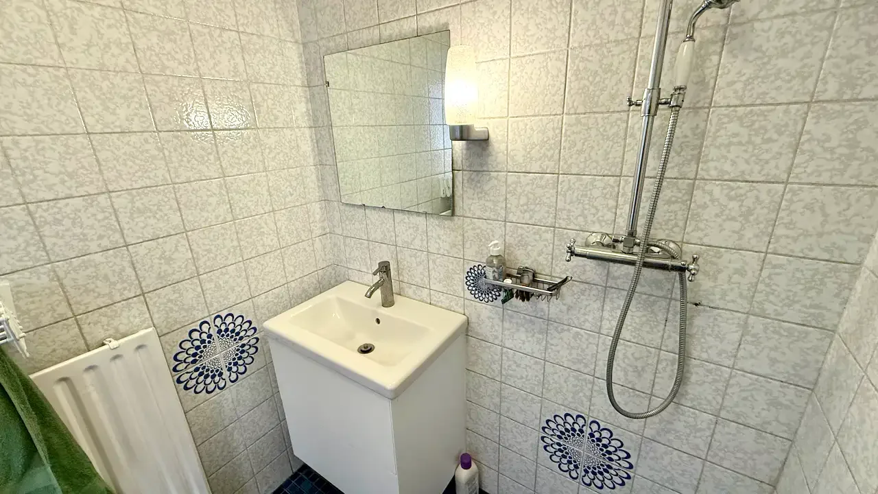 geblurde versie van de foto als achtergrond