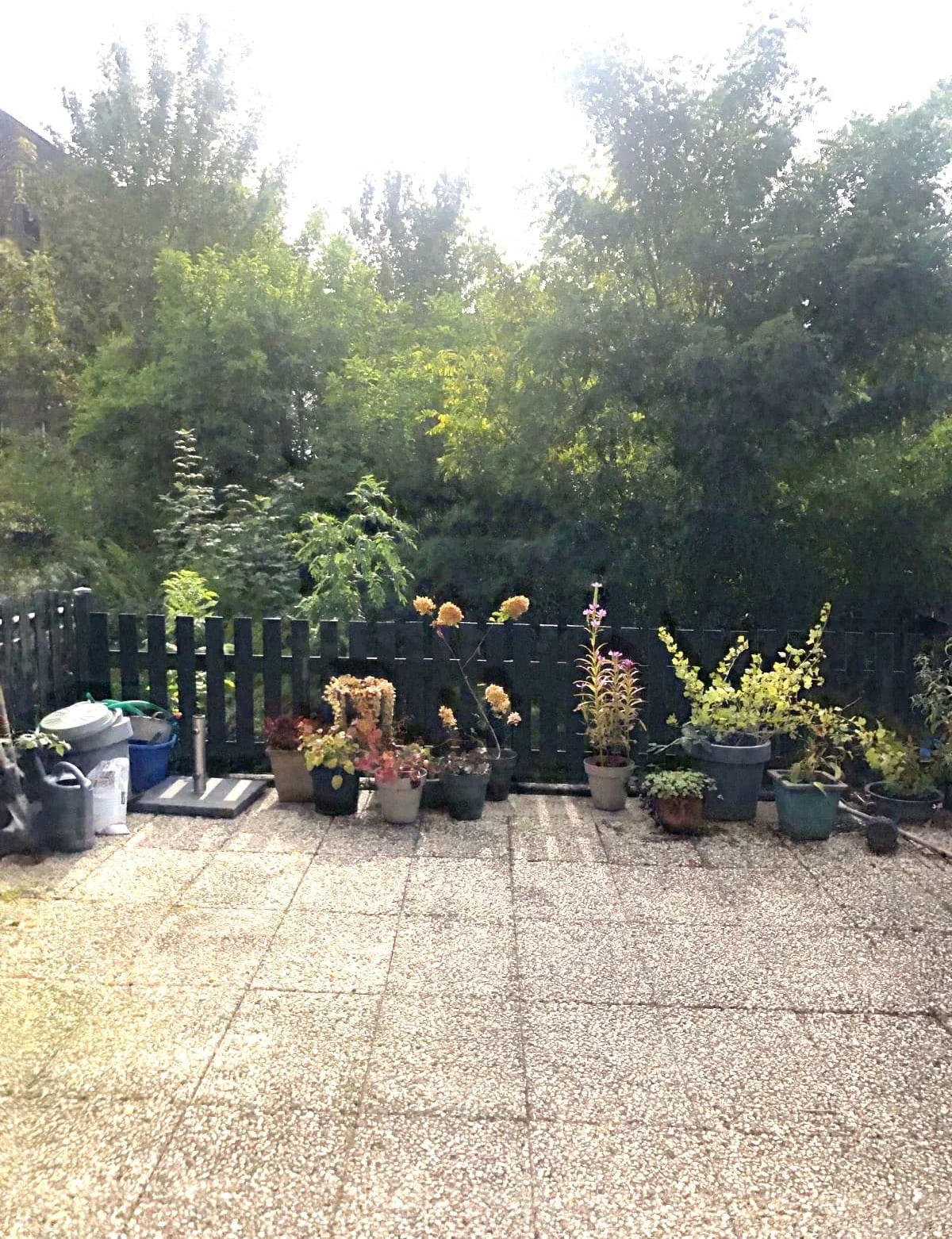 Foto van de Appartement gelegen aan de Veerstraat in Wageningen