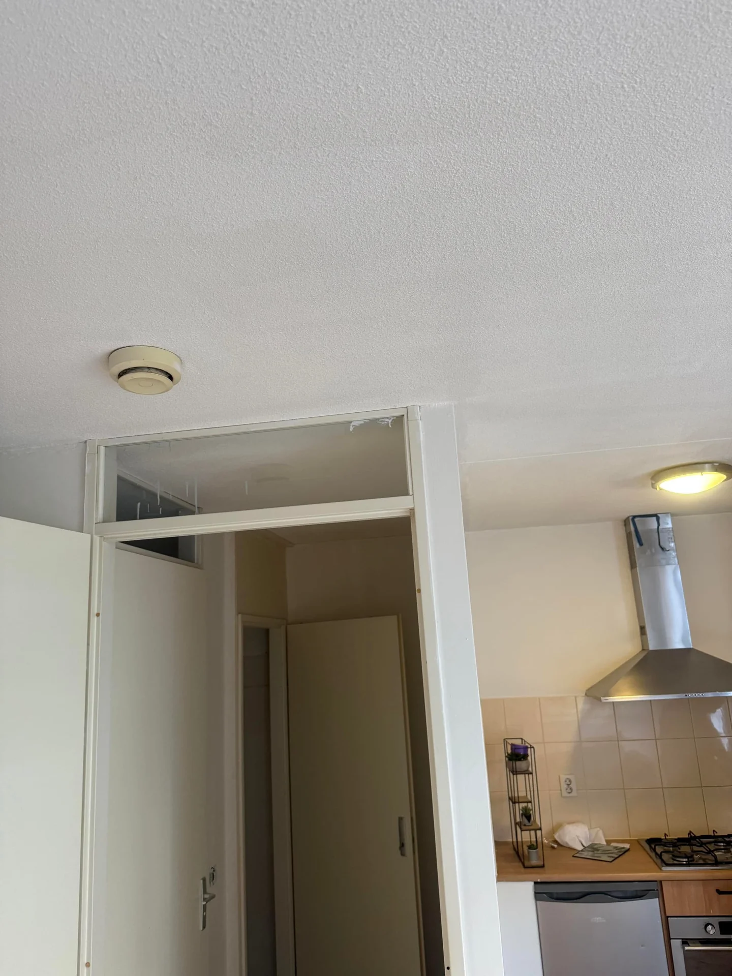 Foto van de Studio gelegen aan de Juttepeerpad in Amsterdam
