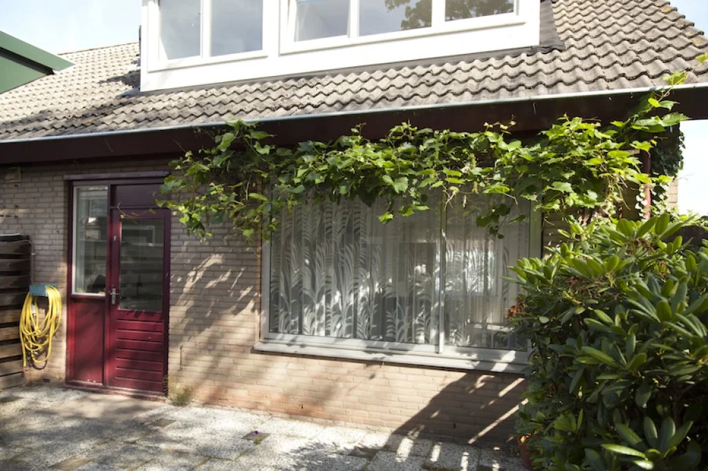 geblurde versie van de foto als achtergrond