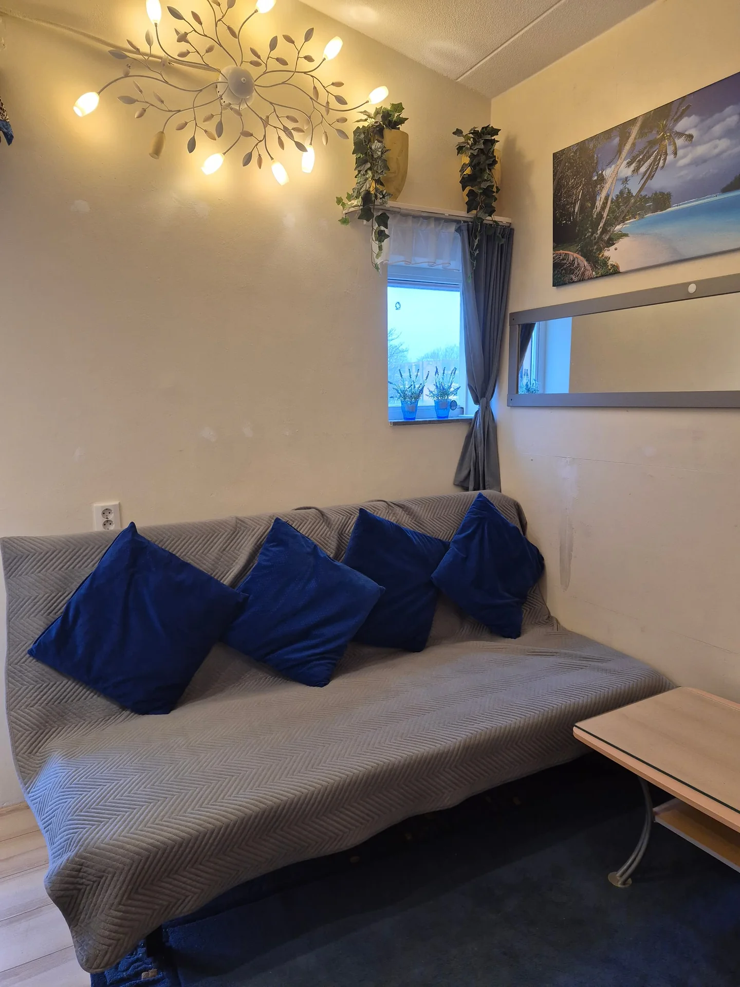 Foto van de Studio gelegen aan de Koolpalmhof in Amsterdam