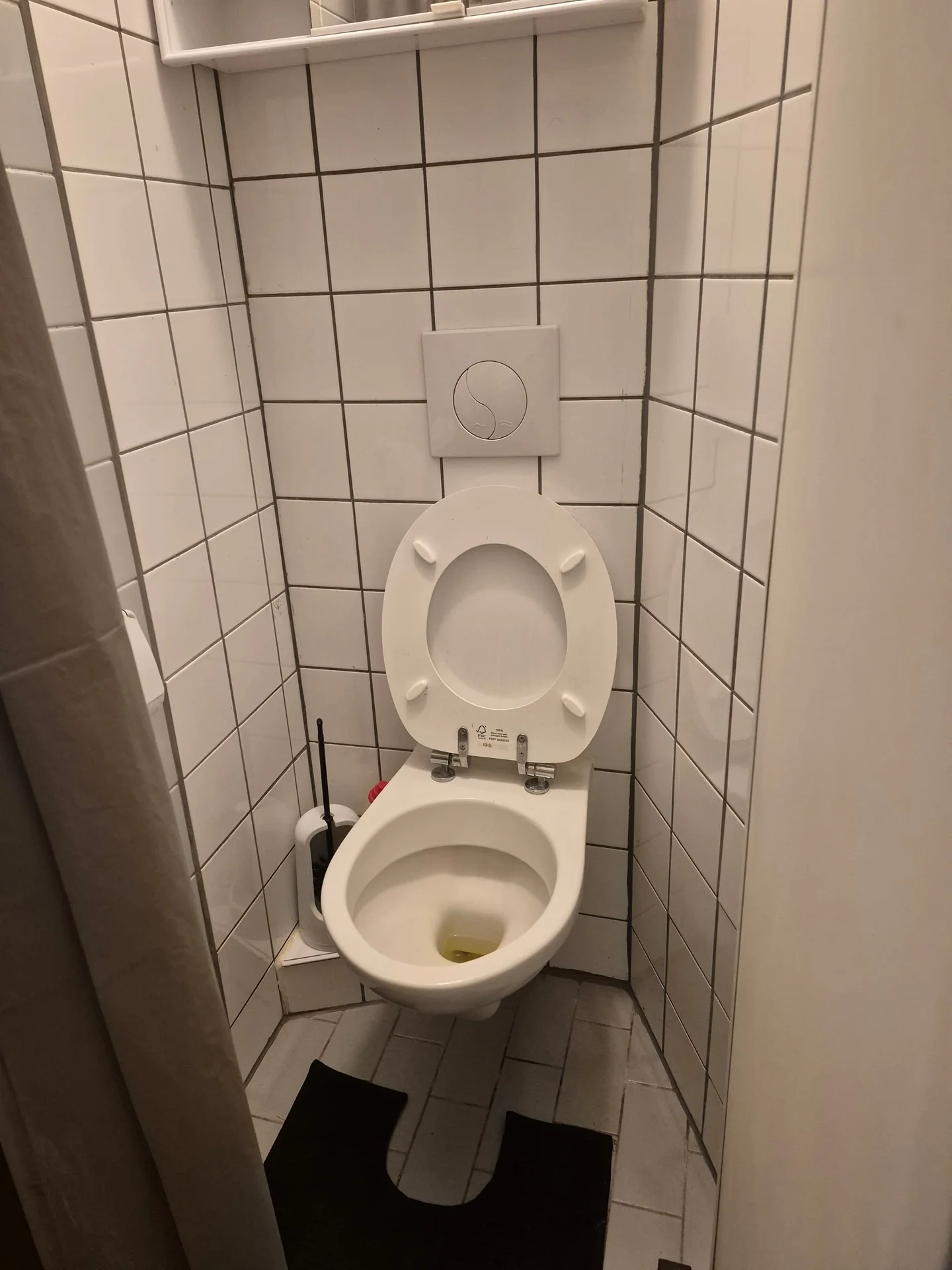 Foto van de Studio gelegen aan de Koolpalmhof in Amsterdam
