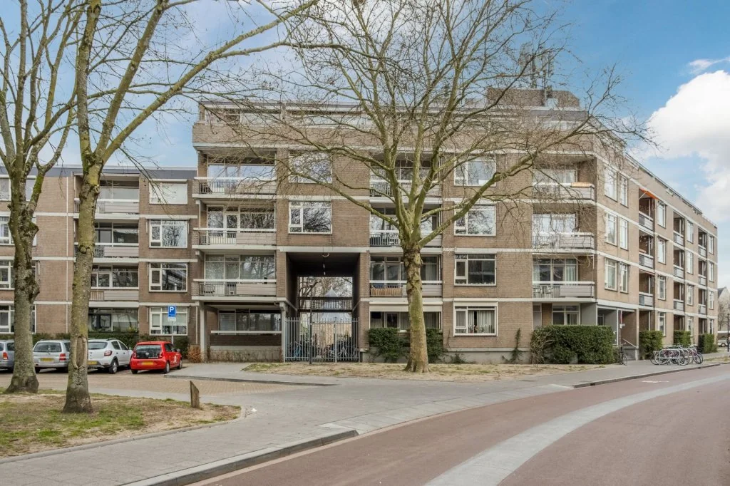 geblurde versie van de foto als achtergrond