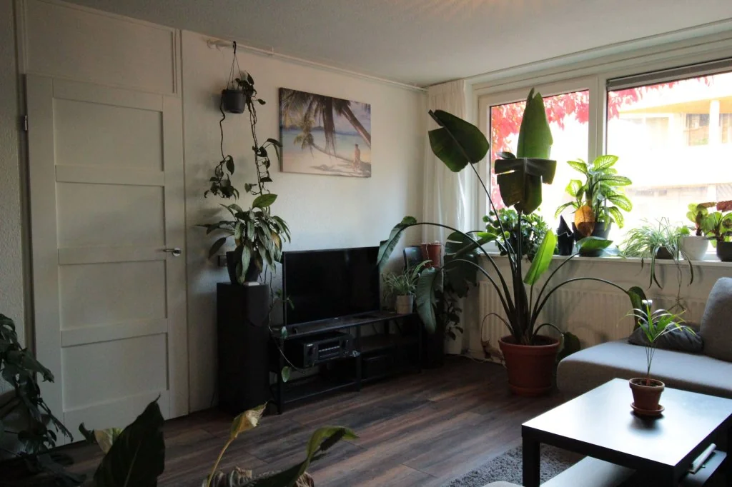 Foto van de Appartement gelegen aan de Slachthuisstraat in Groningen