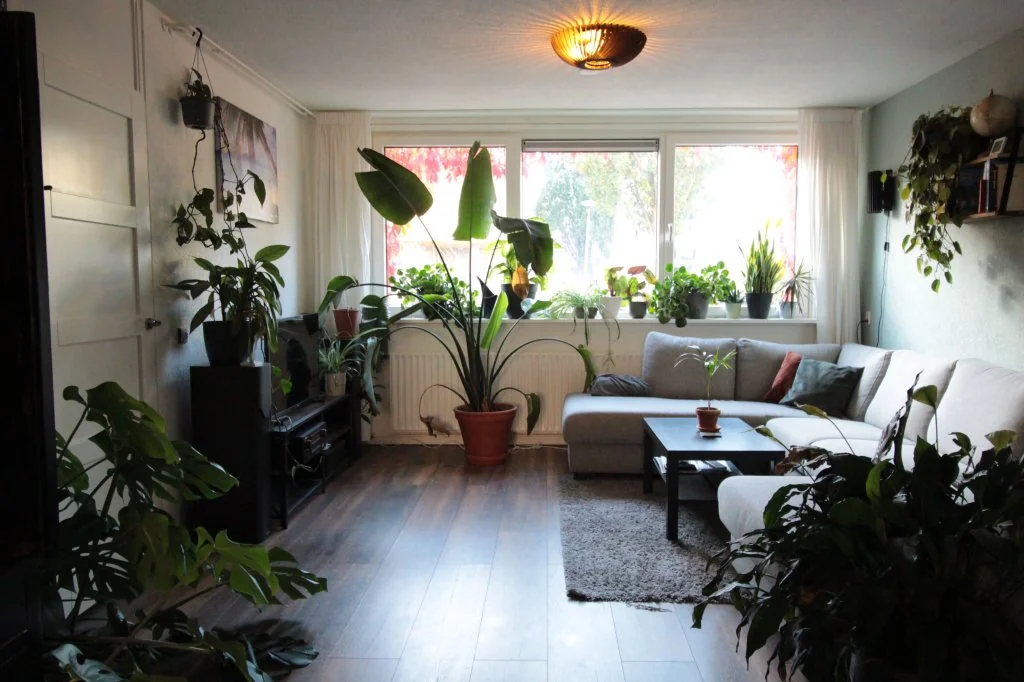 Foto van de Appartement gelegen aan de Slachthuisstraat in Groningen